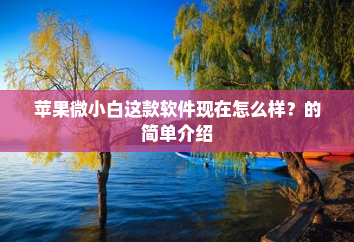 苹果微小白这款软件现在怎么样？的简单介绍
