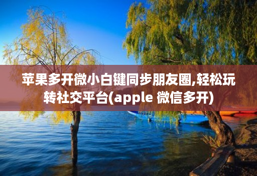 苹果多开微小白键同步朋友圈,轻松玩转社交平台(apple 微信多开)