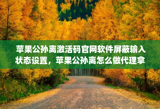 苹果公孙离激活码官网软件屏蔽输入状态设置,苹果公孙离怎么做代理拿货
