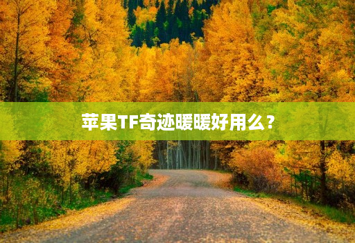 苹果TF奇迹暖暖好用么?