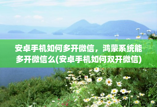 安卓手机如何多开微信,鸿蒙系统能多开微信么(安卓手机如何双开微信)
