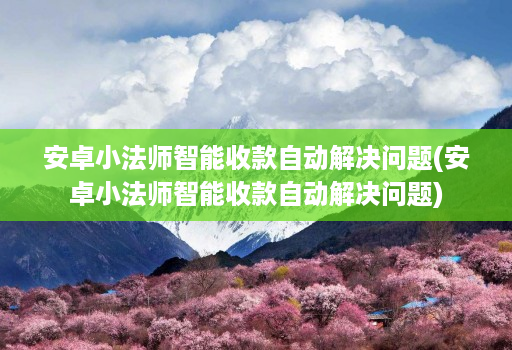 安卓小法师智能收款自动解决问题(安卓小法师智能收款自动解决问题)