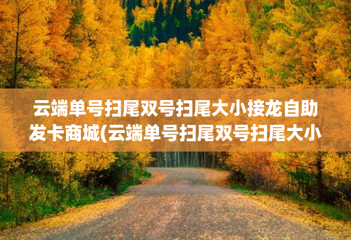 云端单号扫尾双号扫尾大小接龙自助发卡商城(云端单号扫尾双号扫尾大小接龙自助发卡商城)