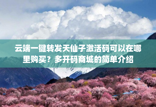 云端一键转发天仙子激活码可以在哪里购买?多开码商城的简单介绍