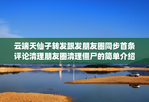 云端天仙子转发跟发朋友圈同步首条评论清理朋友圈清理僵尸的简单介绍