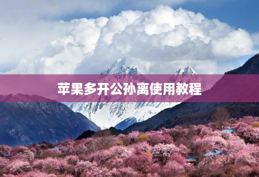 苹果多开公孙离使用教程 苹果多开公孙离使用教程