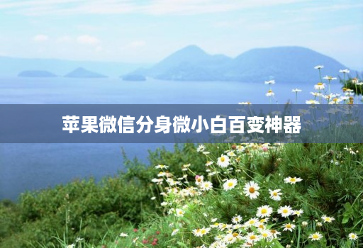 苹果微信分身微小白百变神器
