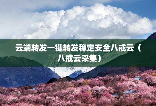 云端转发一键转发稳定安全八戒云（ 八戒云采集）