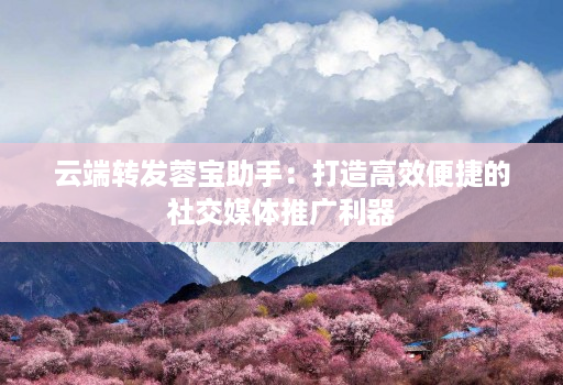 云端转发蓉宝助手:打造高效便捷的社交媒体推广利器 云端转发蓉宝助手:打造高效便捷的社交媒体推广利器
