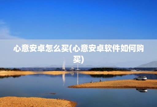 心意安卓怎么买(心意安卓软件如何购买)