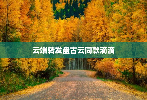 云端转发盘古云同款滴滴