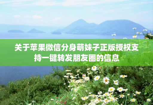 关于苹果微信分身萌妹子正版授权支持一键转发朋友圈的信息