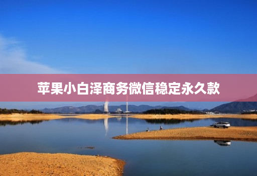 苹果小白泽商务微信稳定永久款 苹果小白泽商务微信稳定永久款