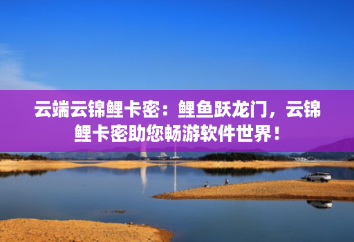 云端云锦鲤卡密：鲤鱼跃龙门，云锦鲤卡密助您畅游软件世界！