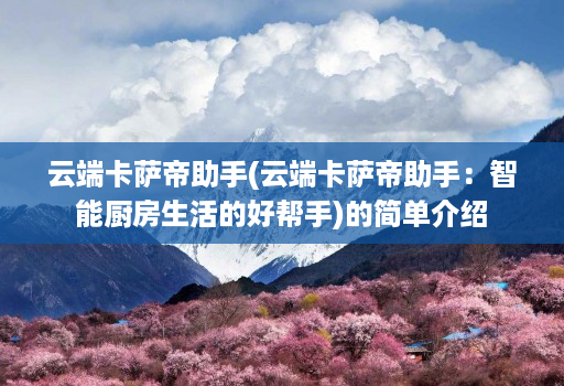 云端卡萨帝助手(云端卡萨帝助手：智能厨房生活的好帮手)的简单介绍