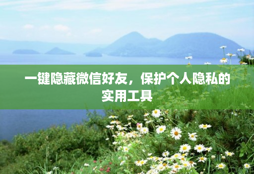 一键隐藏微信好友,保护个人隐私的实用工具