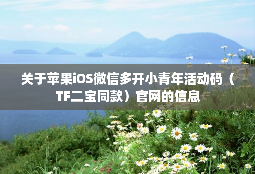 关于苹果iOS微信多开小青年活动码(TF二宝同款)官网的信息