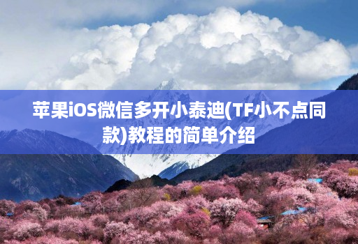 苹果iOS微信多开小泰迪(TF小不点同款)教程的简单介绍