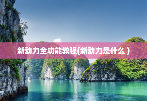 新动力全功能教程(新动力是什么 )