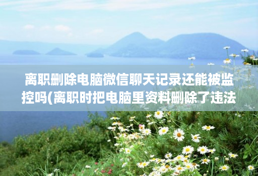 离职删除电脑微信聊天记录还能被监控吗(离职时把电脑里资料删除了违法吗 )