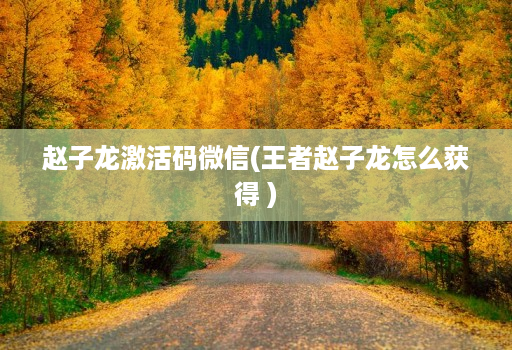 赵子龙激活码微信(王者赵子龙怎么获得 )