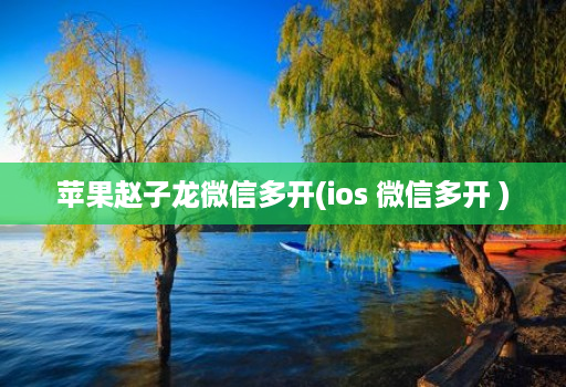 苹果赵子龙维信哆开(ios 维信哆开 ) 苹果赵子龙维信哆开(ios 维信哆开 )