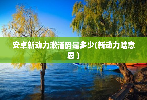 安卓新动力激活码是多少(新动力啥意思 )