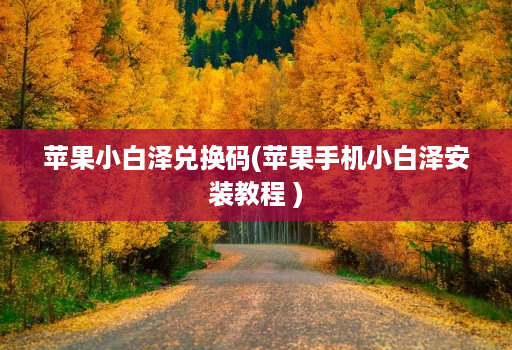 苹果小白泽兑换码(苹果手机小白泽安装教程 )