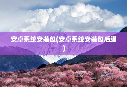 安卓系统安装包(安卓系统安装包后缀 ) 安卓系统安装包(安卓系统安装包后缀 )