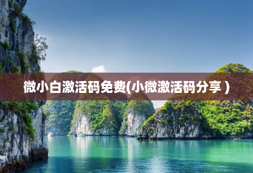 微小白激活码免费(小微激活码分享 )