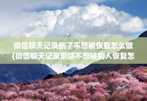 微信聊天记录删了不想被恢复怎么做(微信聊天记录删除不想被别人恢复怎么办 )