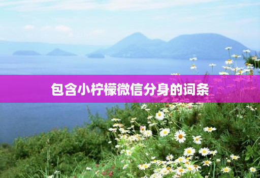 包含小柠檬微信分身的词条 包含小柠檬微信分身的词条