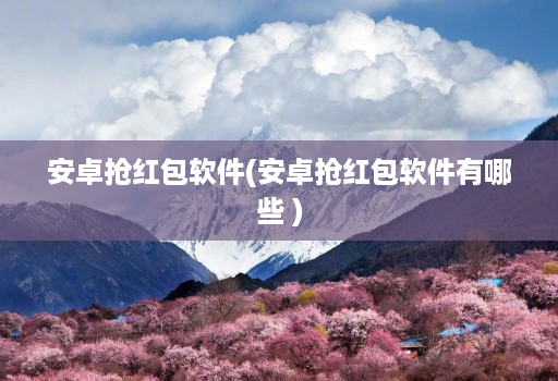 安卓抢红包软件(安卓抢红包软件有哪些 )
