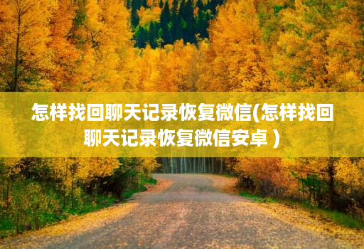 怎样找回聊天记录恢复微信(怎样找回聊天记录恢复微信安卓 ) 怎样找回聊天记录恢复微信(怎样找回聊天记录恢复微信安卓 )