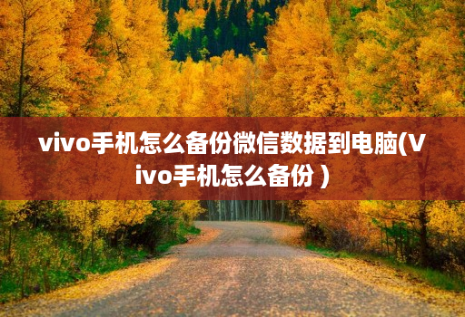 vivo手机怎么备份微信数据到电脑(Vivo手机怎么备份 )