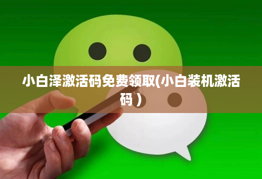 小白泽激活码免费领取(小白装机激活码 ) 小白泽激活码免费领取(小白装机激活码 )