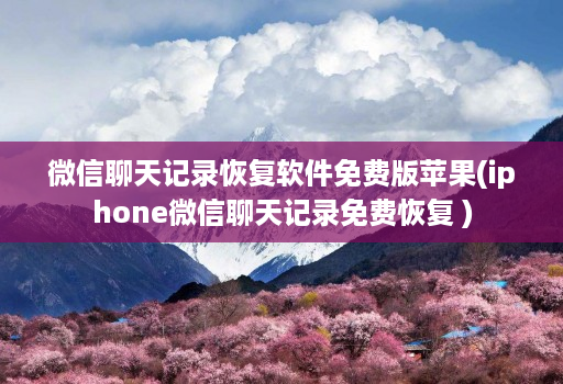 微信聊天记录恢复软件免费版苹果(iphone微信聊天记录免费恢复 )