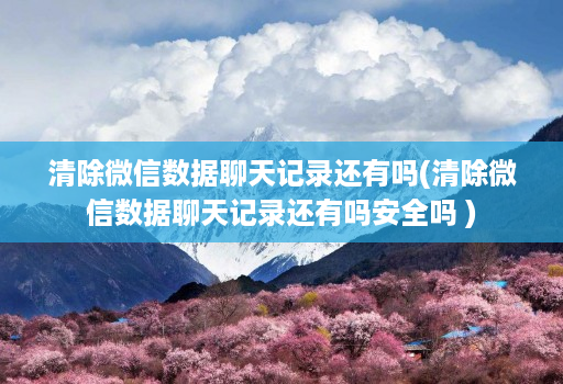 清除微信数据聊天记录还有吗(清除微信数据聊天记录还有吗安全吗 ) 清除微信数据聊天记录还有吗(清除微信数据聊天记录还有吗安全吗 )