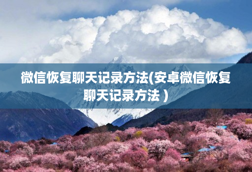 微信恢复聊天记录方法(安卓微信恢复聊天记录方法 ) 微信恢复聊天记录方法(安卓微信恢复聊天记录方法 )