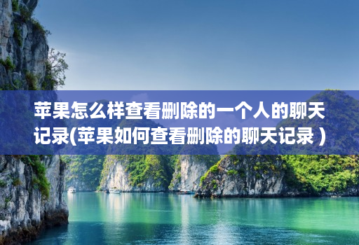 苹果怎么样查看删除的一个人的聊天记录(苹果如何查看删除的聊天记录 )
