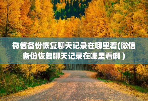 微信备份恢复聊天记录在哪里看(微信备份恢复聊天记录在哪里看啊 )