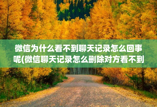 微信为什么看不到聊天记录怎么回事呢(微信聊天记录怎么删除对方看不到 )