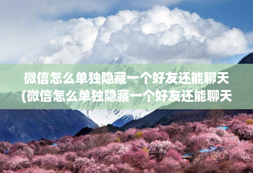 微信怎么单独隐藏一个好友还能聊天(微信怎么单独隐藏一个好友还能聊天呢 )