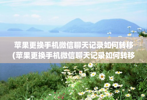 苹果更换手机微信聊天记录如何转移(苹果更换手机微信聊天记录如何转移数据 ) 苹果更换手机微信聊天记录如何转移(苹果更换手机微信聊天记录如何转移数据 )