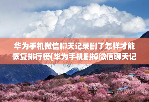 华为手机微信聊天记录删了怎样才能恢复排行榜(华为手机删掉微信聊天记录怎么恢复 ) 华为手机微信聊天记录删了怎样才能恢复排行榜(华为手机删掉微信聊天记录怎么恢复 )