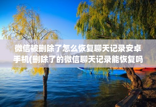 微信被删除了怎么恢复聊天记录安卓手机(删除了的微信聊天记录能恢复吗安卓 )