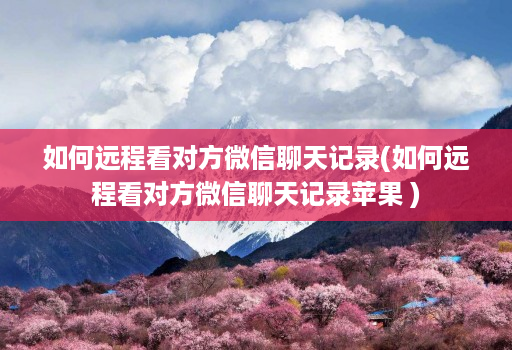 如何远程看对方微信聊天记录(如何远程看对方微信聊天记录苹果 )