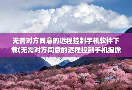 无需对方同意的远程控制手机软件下载(无需对方同意的远程控制手机摄像头 )