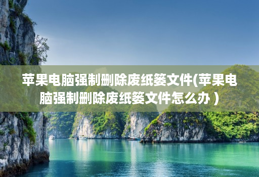 苹果电脑强制删除废纸篓文件(苹果电脑强制删除废纸篓文件怎么办 )