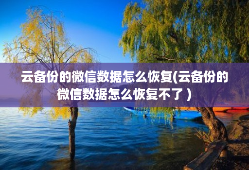 云备份的微信数据怎么恢复(云备份的微信数据怎么恢复不了 )